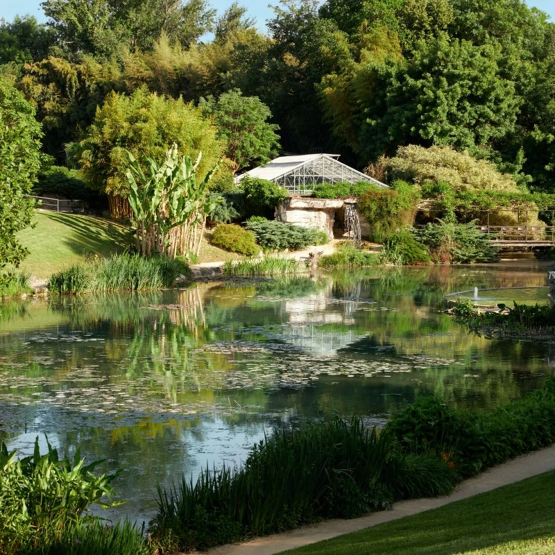 全新迪奧花園拉圖瑪堤雅克睡蓮園。