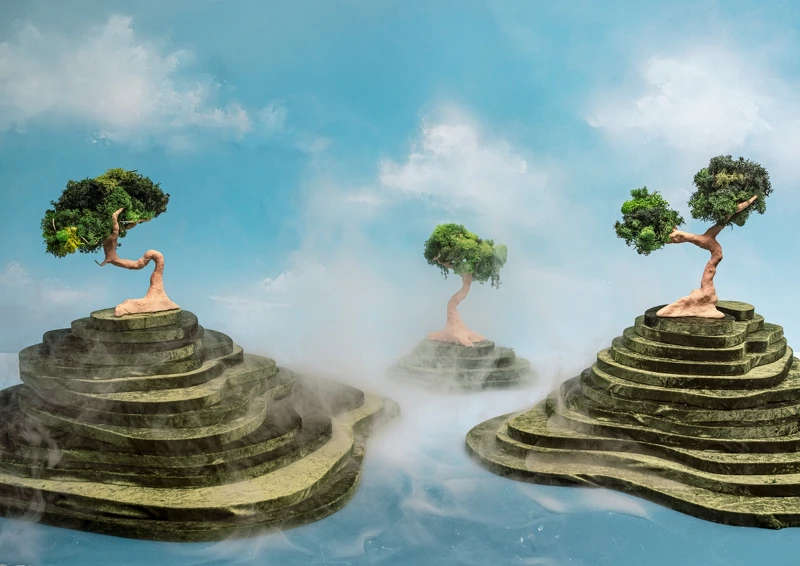 攝影師Tim Walker 以杜桑為靈感之創作