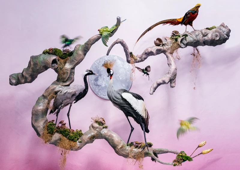 攝影師Tim Walker 以杜桑為靈感之創作