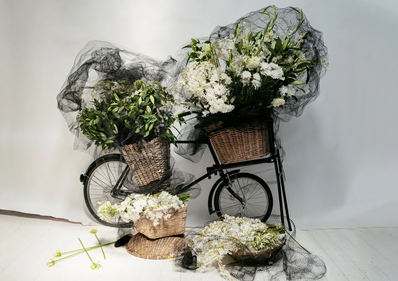 攝影師Tim Walker 以杜桑為靈感之創作