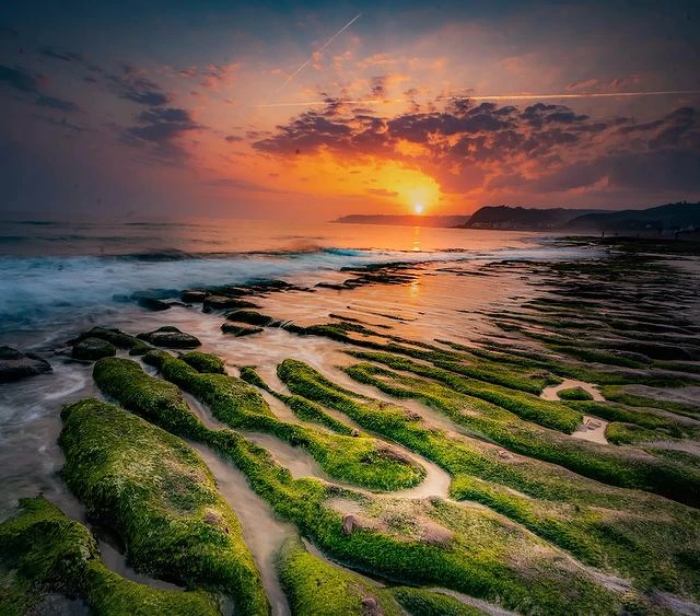 Photo/IG@jonathan201001授權提供 Photo/IG@jonathan201001授權提供