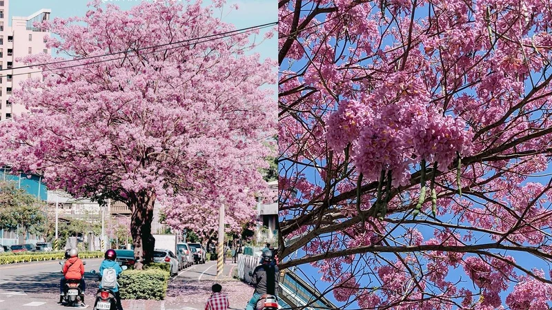 Photo∕IG @chinling_kuo、IG @smallfen001 授權提供 Photo∕IG @chinling_kuo、IG @smallfen001 授權提供