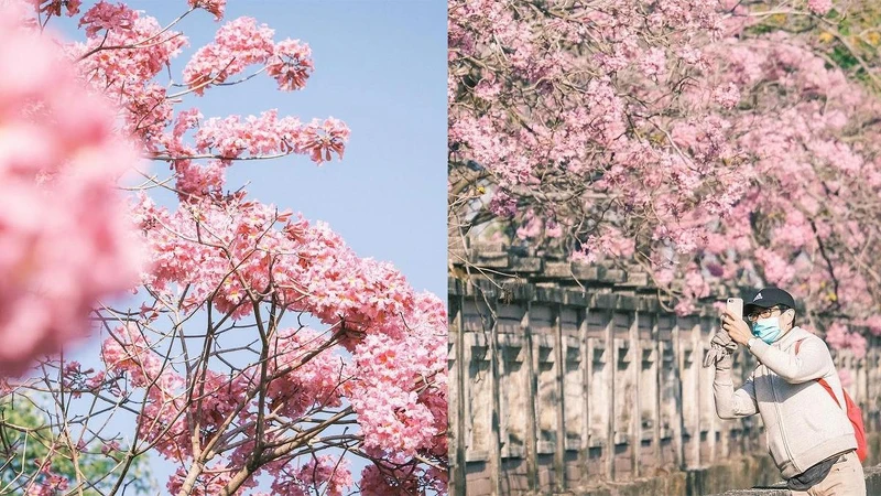 Photo/IG @ hengfu.liu 授權提供 Photo/IG @ hengfu.liu 授權提供