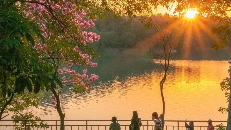 Photo/IG @marianne521025 授權提供 Photo/IG @marianne521025 授權提供