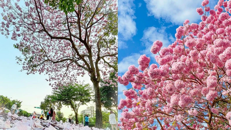 Photo/IG @wuen_photo 授權提供、潘孟安臉書 提供 Photo/IG @wuen_photo 授權提供、潘孟安臉書 提供