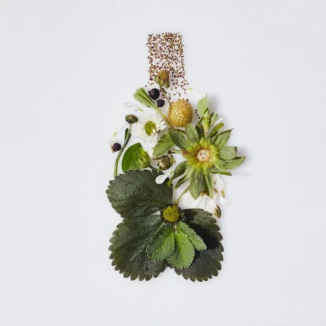 (MALIN+GOETZ)草莓淡香精情境圖。