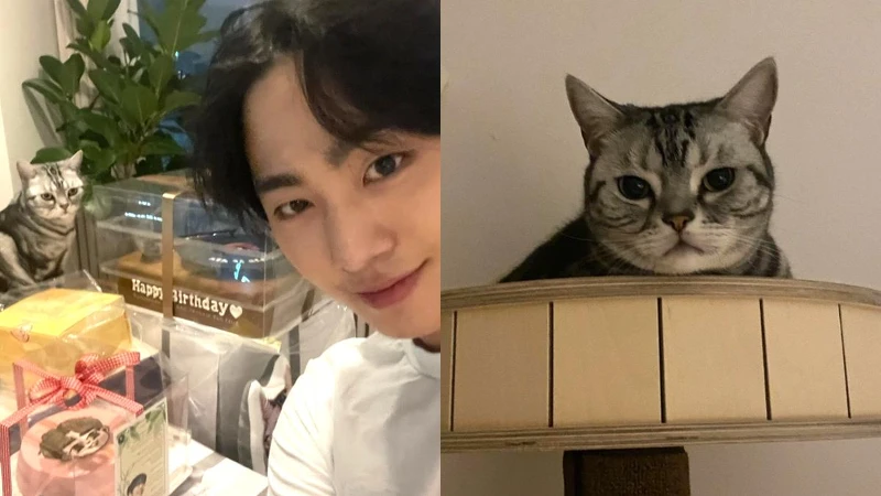  安孝燮經常分享愛貓Paul的日常