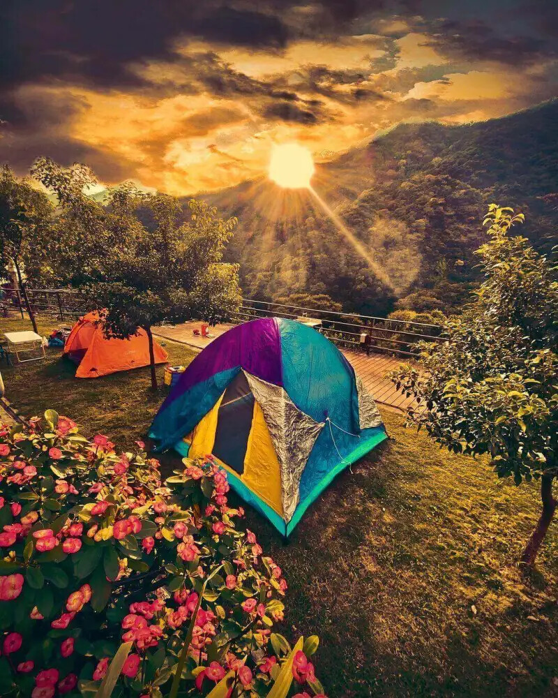 圖/IG@yuntin888 圖/IG@yuntin888