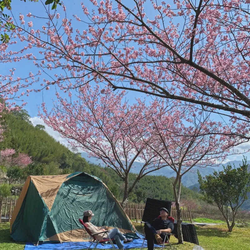 圖/IG@paulachenoo 圖/IG@paulachenoo