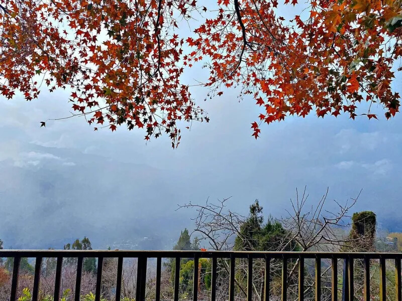 圖/IG@mahongxyuming 圖/IG@mahongxyuming