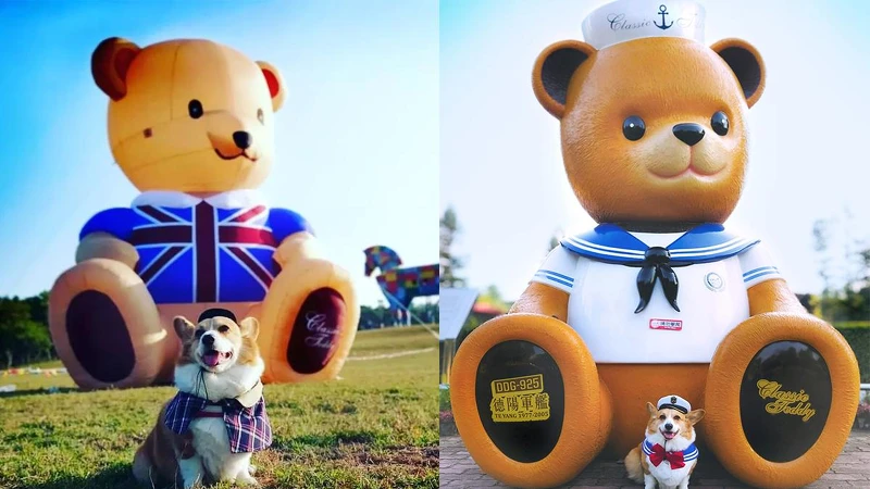 Photo／IG @ coffee_time_corgi 授權提供