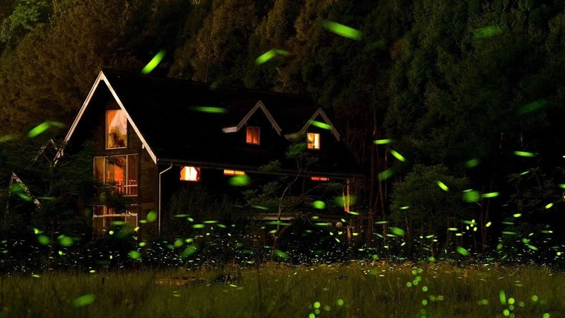 Photo/IG @ leon_slashie 授權提供 Photo/IG @ leon_slashie 授權提供