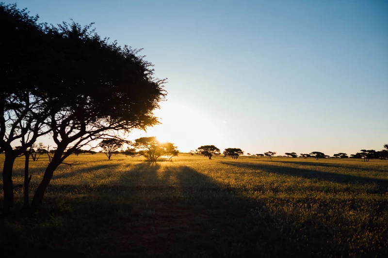 位於金伯利(Kimberley)的德倫菲爾德自然保護區(Dronfield Nature Reserve)，此地為南非鑽石之路(the Diamond Route)的一部分。
