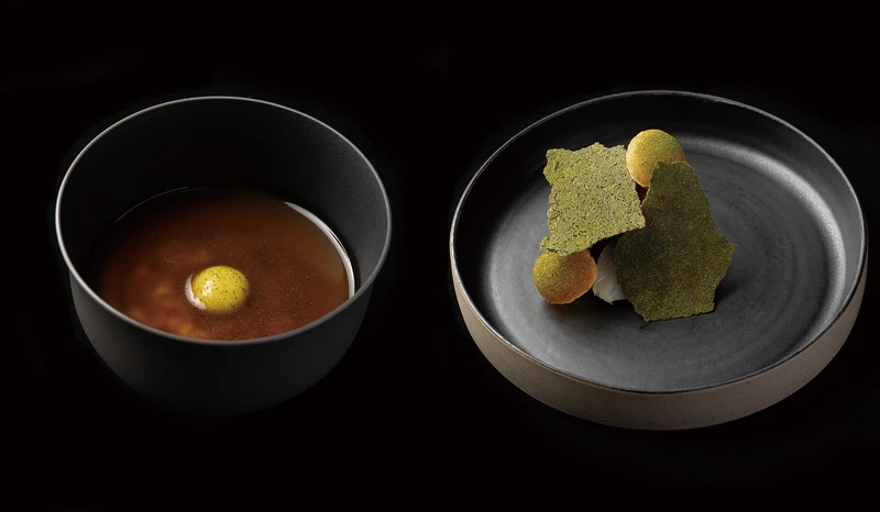 M SHAPE SOCIETY。 M SHAPE SOCIETY。