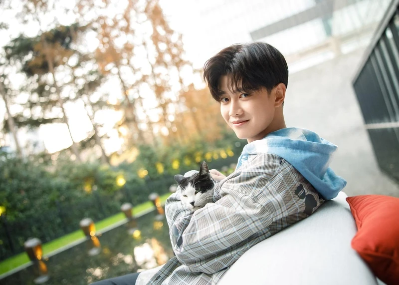 任嘉倫官方工作室微博 任嘉倫官方工作室微博