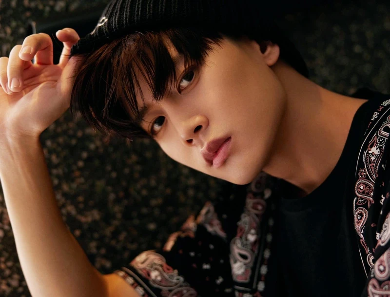 任嘉倫官方工作室微博 任嘉倫官方工作室微博