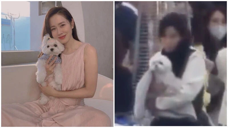 翻攝自韓網 翻攝自韓網