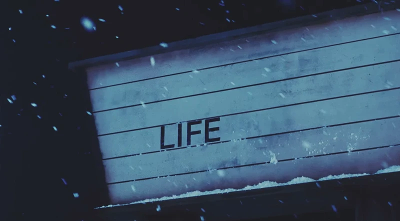 〈Still Life〉生命會持續下去