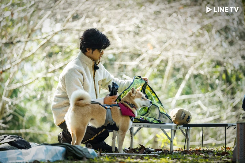 陳柏霖與可愛的柴犬夥伴Afuri一起踏上旅途 陳柏霖與可愛的柴犬夥伴Afuri一起踏上旅途