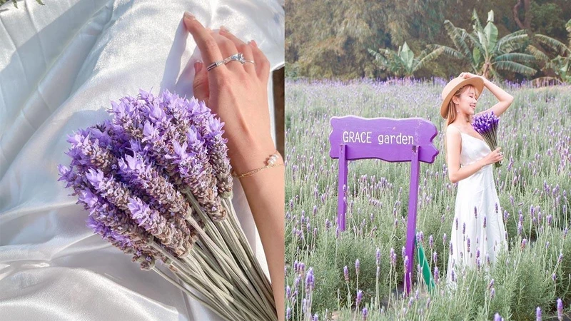 Photo/IG@ guang_wanniii 授權提供 Photo/IG@ guang_wanniii 授權提供