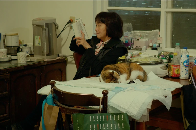 ▲朱家的生活常有貓狗相伴。(圖/目宿媒體提供) ▲朱家的生活常有貓狗相伴。(圖/目宿媒體提供)