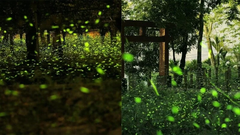 Photo/高市原民會FB Photo/高市原民會FB