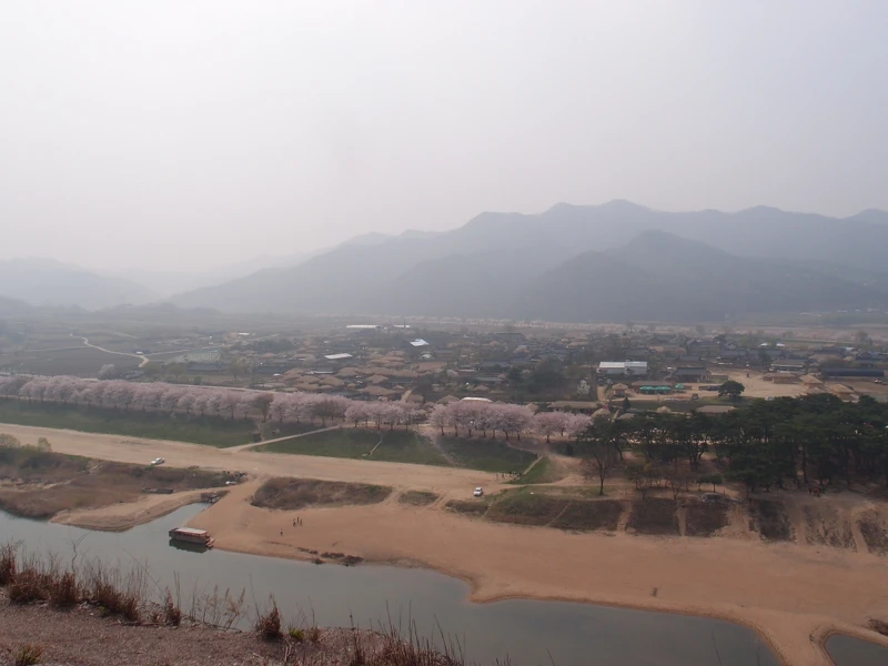 河回村全貌。