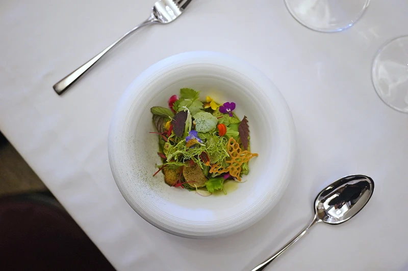 視覺繽紛，風味原始的料理。