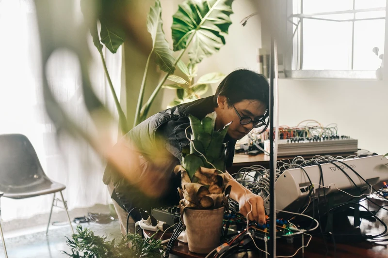 N Studio 植物通電。