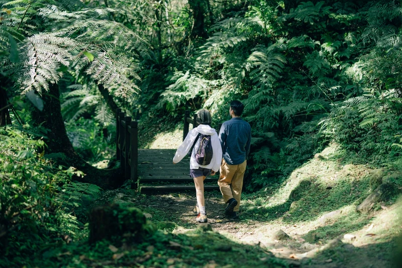 可透過古道療癒健行探索坪林。