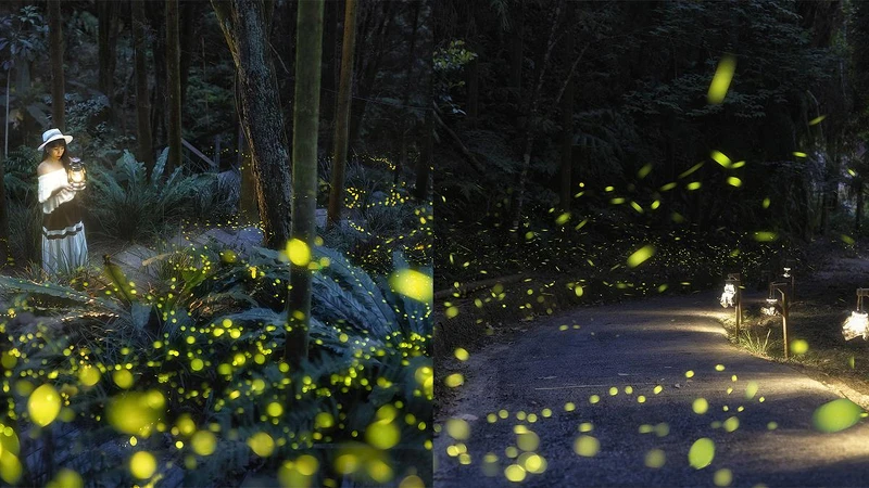 Photo／IG@ 153_mom 提供