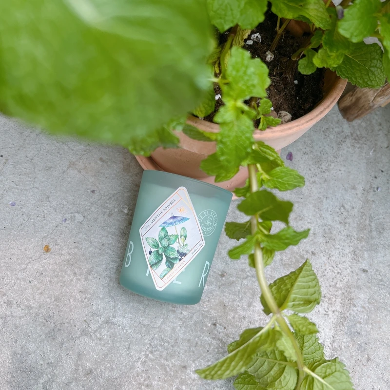 kerzon植物標本系列香氛蠟燭(胡椒薄荷MENTHE POIVRÉE)190g，NT1,600。