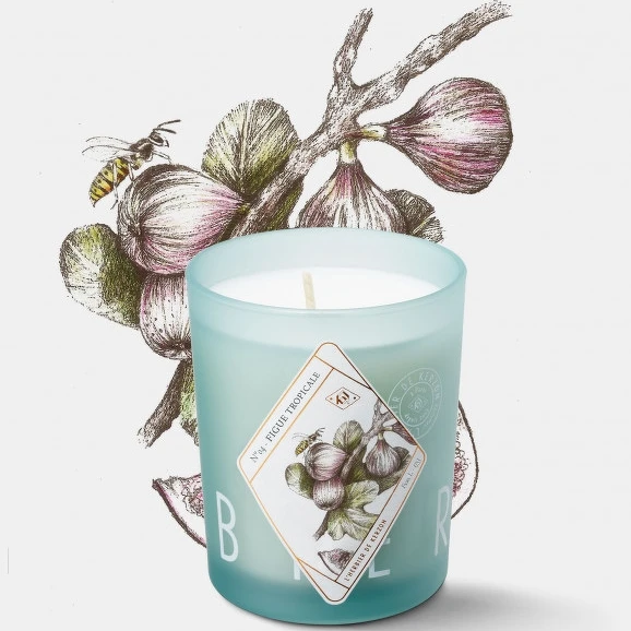 kerzon植物標本系列香氛蠟燭(熱帶無花果FIGUE TROPICAPLE)190g，NT1,600。