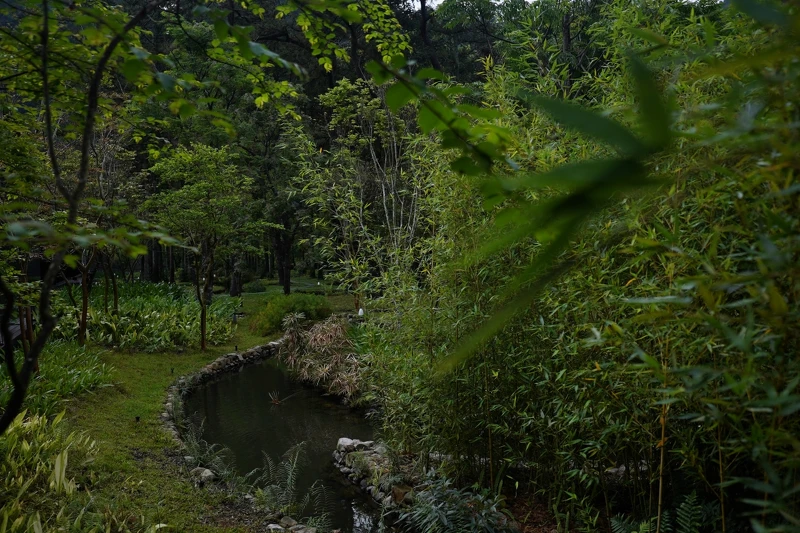 沐浴在樹林葉影下也能感受到大自然洗滌暑氣的魅力。 沐浴在樹林葉影下也能感受到大自然洗滌暑氣的魅力。