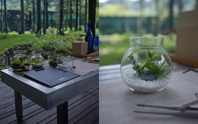 並在流水、蟲鳴、鳥叫的環繞之下製作屬於自己的生態瓶。 並在流水、蟲鳴、鳥叫的環繞之下製作屬於自己的生態瓶。