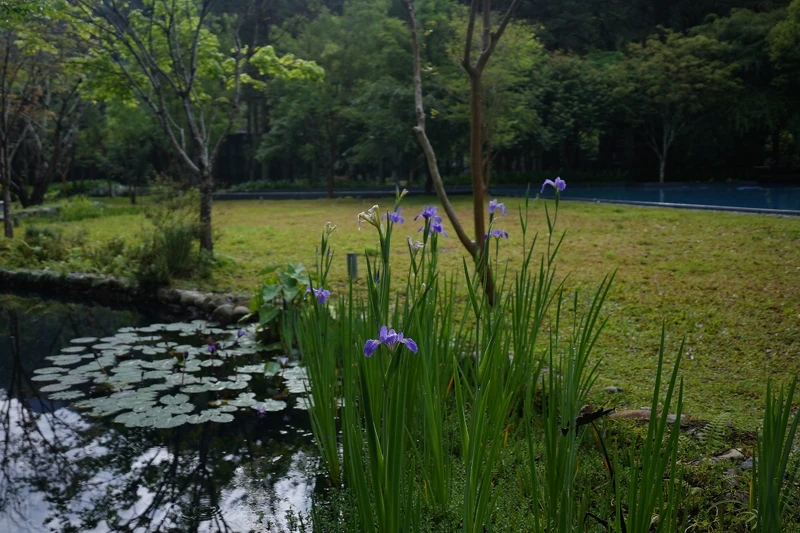 虹夕諾雅谷關園區內蘊藏豐富的景觀與植物。 虹夕諾雅谷關園區內蘊藏豐富的景觀與植物。