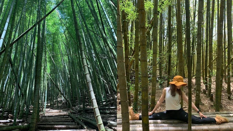 Photo／IG @ stacy_c_fit授權提供