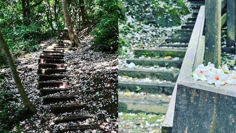 Photo/IG@vv530520510、IG@hankayak 授權提供 Photo/IG@vv530520510、IG@hankayak 授權提供