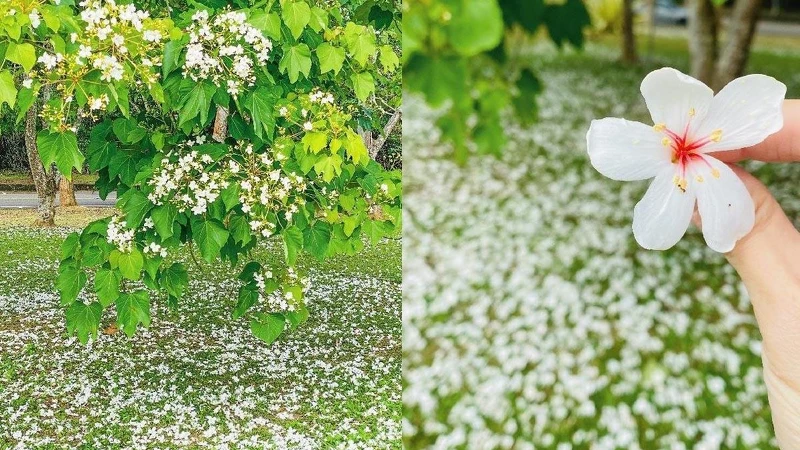 Photo/IG@暨大行旅Ncnu Campus Inn Photo/IG@暨大行旅Ncnu Campus Inn