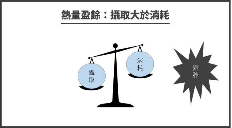 Photo/蔡醫師瘦身社團 Photo/蔡醫師瘦身社團