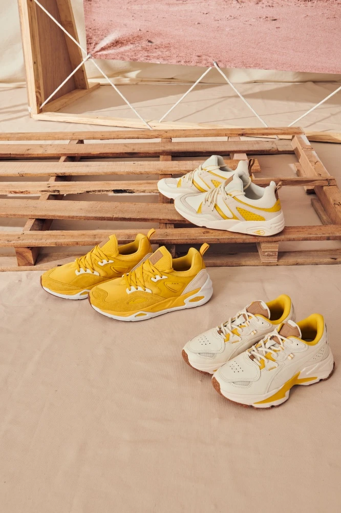 Blaze of Glory D.South NT 5,280、TRC Blaze D. South NT4,880、Orkid D.South Wns NT 3,880