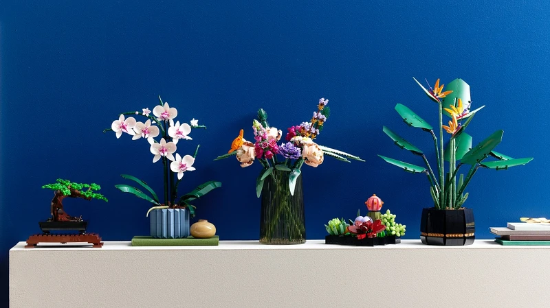 花藝系列目前有「10309多肉植物」、「10311蘭花」、「10289天堂鳥」、「10281盆栽」、「10280花束」等五款盒組 花藝系列目前有「10309多肉植物」、「10311蘭花」、「10289天堂鳥」、「10281盆栽」、「10280花束」等五款盒組