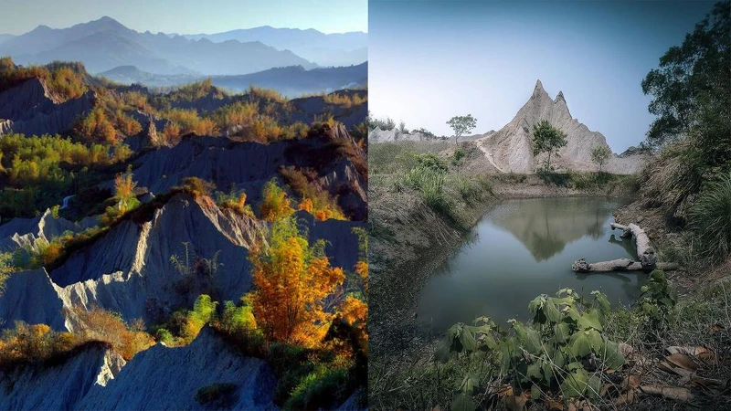 Photo/台南市政府、IG @serena.ycc 授權提供 Photo/台南市政府、IG @serena.ycc 授權提供