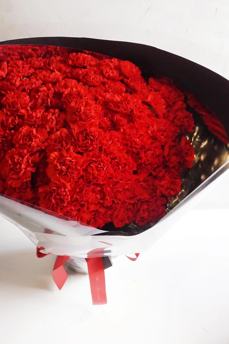 CNFlower 99朵康乃馨花束 CNFlower 99朵康乃馨花束