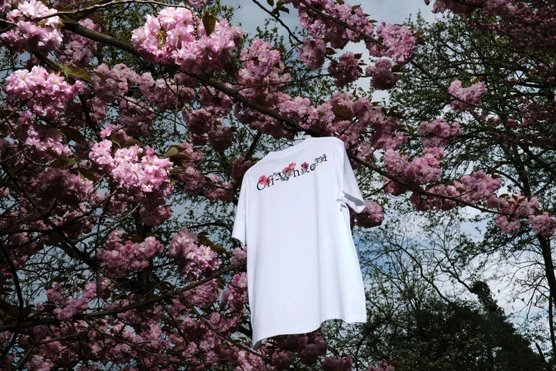 女士短袖T-Shirt，NT 10,500