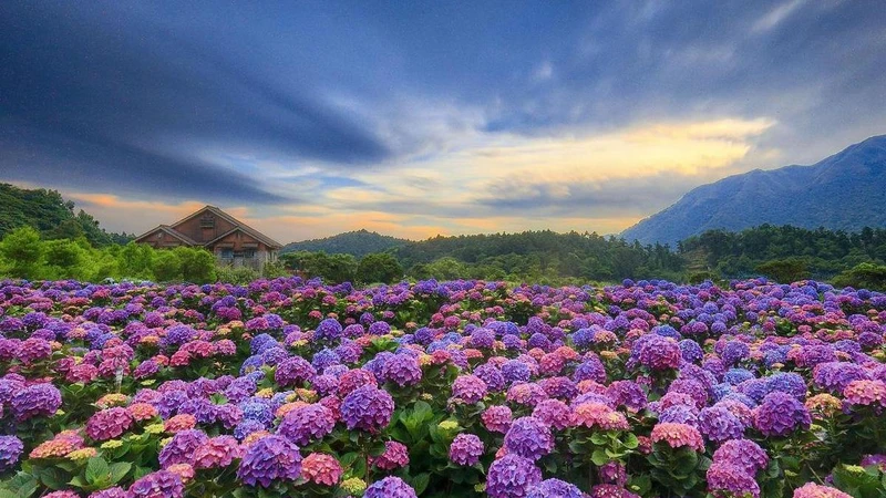 Photo/IG @eddy_kiwi1991 授權提供(圖為2021年拍攝) Photo/IG @eddy_kiwi1991 授權提供(圖為2021年拍攝)