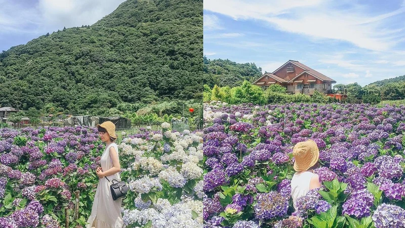 Photo/IG @ bonnieoo_travel 授權提供(圖為往年照片) Photo/IG @ bonnieoo_travel 授權提供(圖為往年照片)