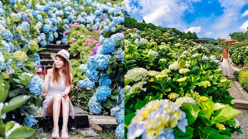 Photo/IG @ xingyingxie、IG @molly888666 授權提供(右圖為2021年拍攝) Photo/IG @ xingyingxie、IG @molly888666 授權提供(右圖為2021年拍攝)