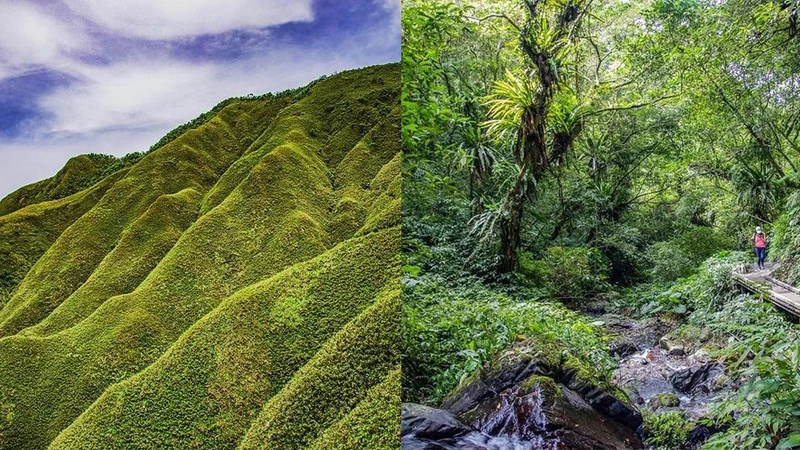 Photo/IG @celinejoy567授權提供 Photo/IG @celinejoy567授權提供