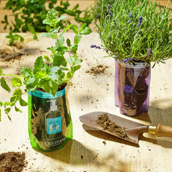 L'OCCITANE環保補充包化身植栽。 L'OCCITANE環保補充包化身植栽。